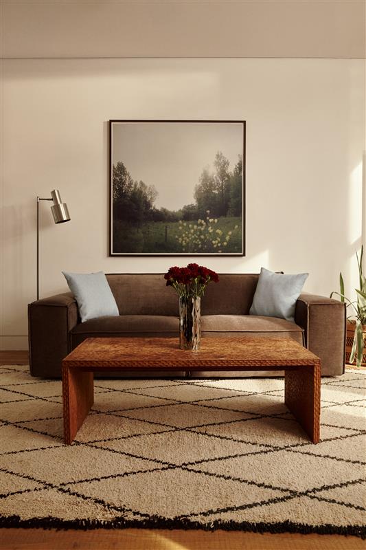 The Sofa Reset: Your Effortless Guide to Spring Cleaning Your Sofa This April