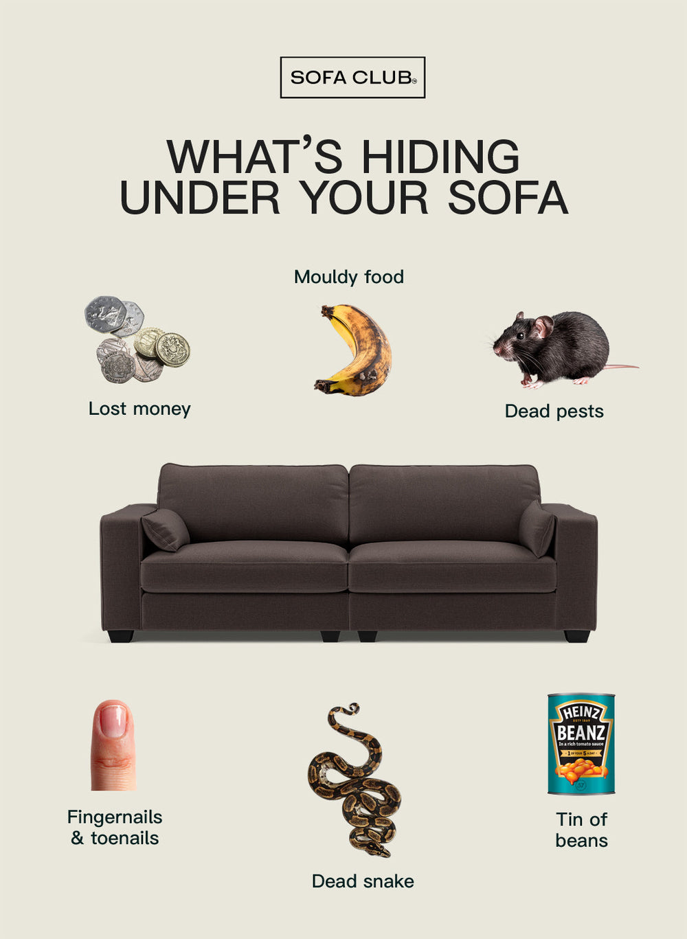 Sofa Secrets Uncovered