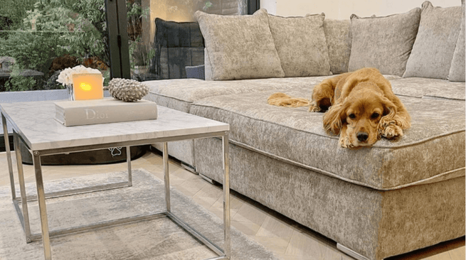 A sofa come bed – trending for 2022
