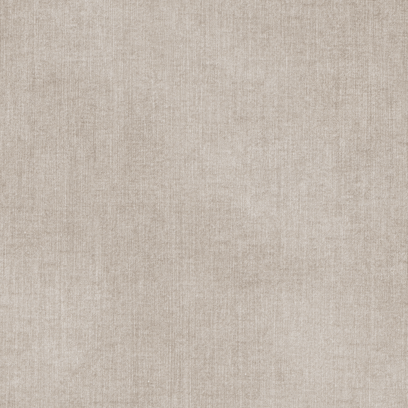 Fabric Swatch
